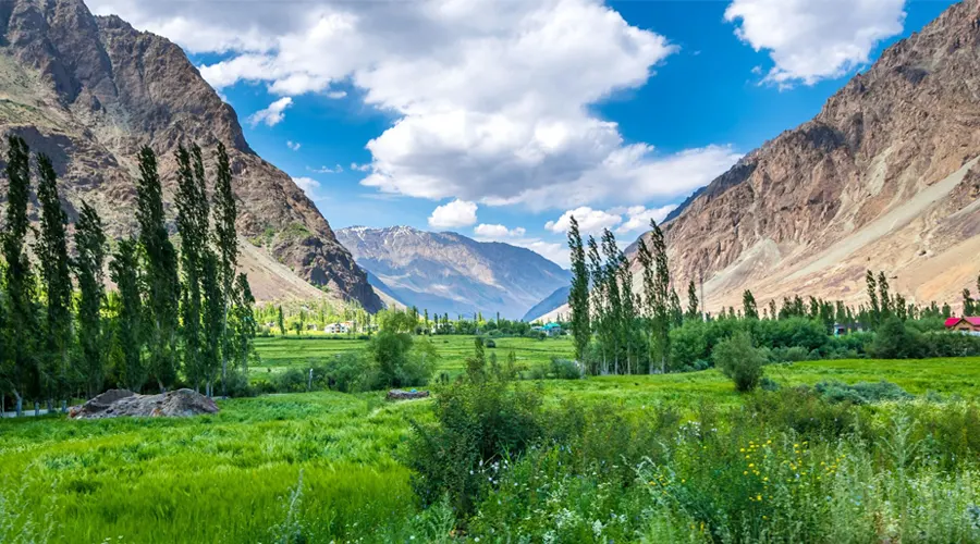 Suru Valley Kargil Ladakh